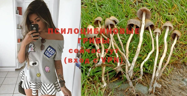 каннабис Алексеевка
