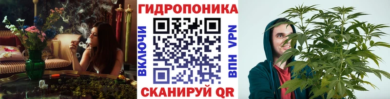 МАРИХУАНА семена Купить где Абинск